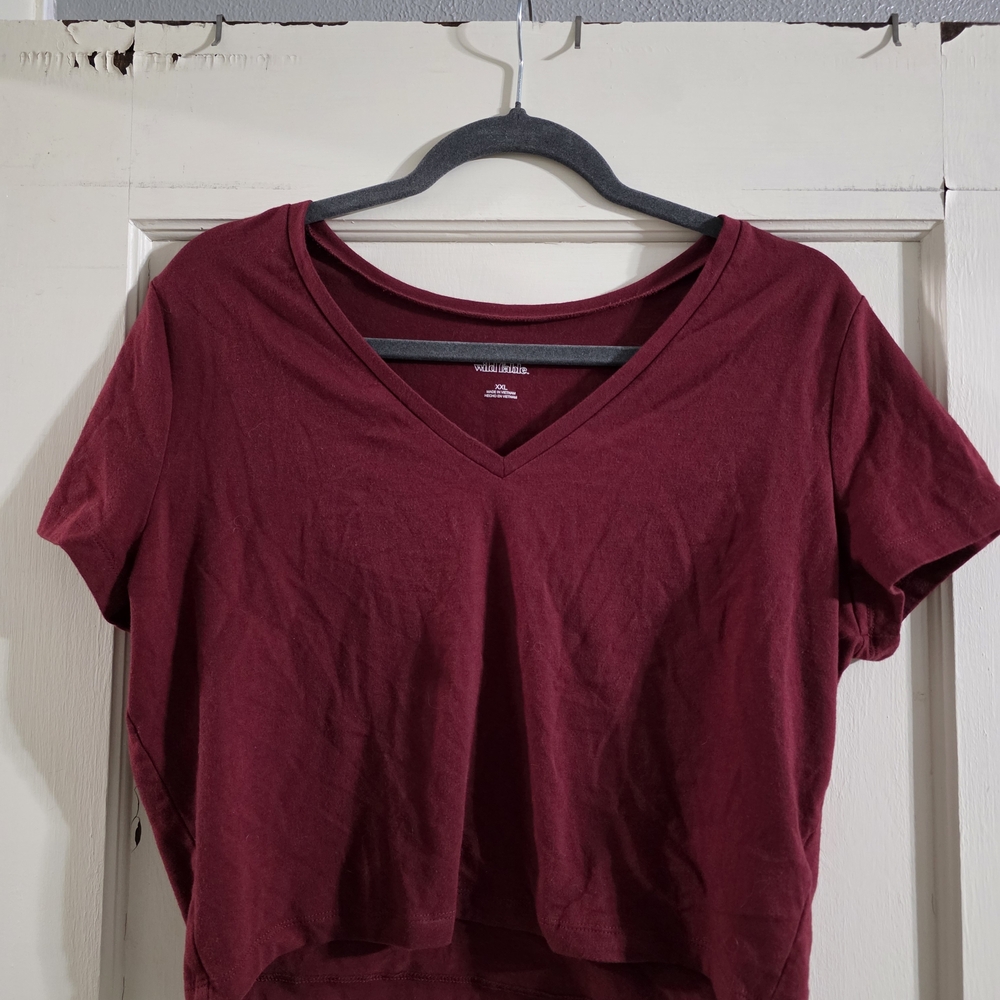 Wild Fable Maroon V-Neck Crop Top